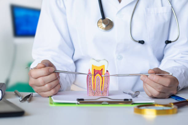 Best Knocked-Out Tooth Emergency  in , DC